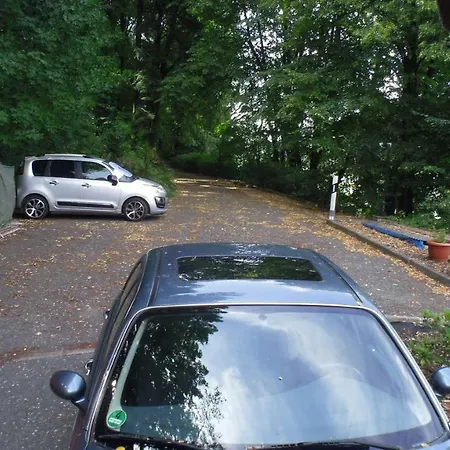 Morgensonne Bad Schandau